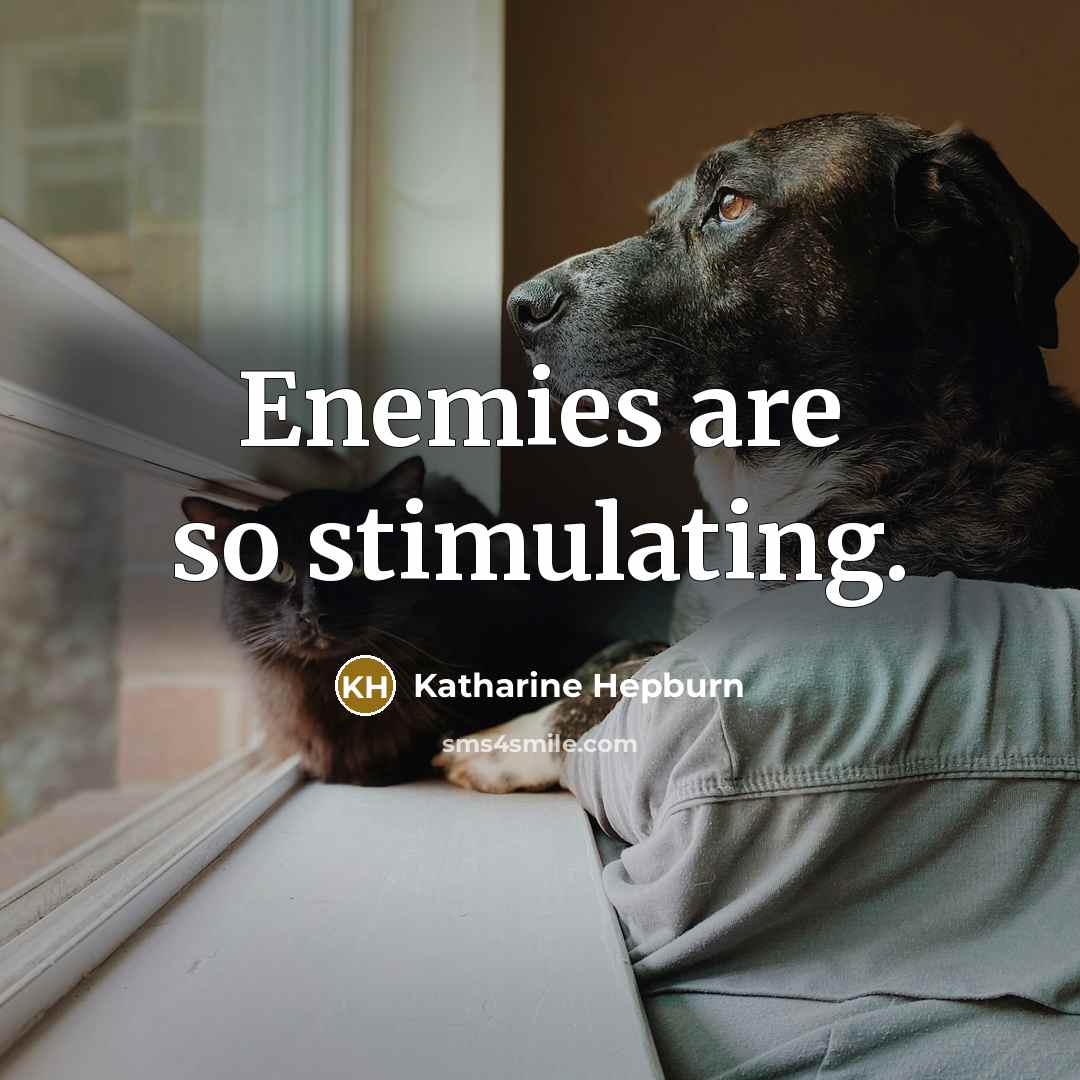 “Enemies are so stimulating.…” quote by Katharine Hepburn
