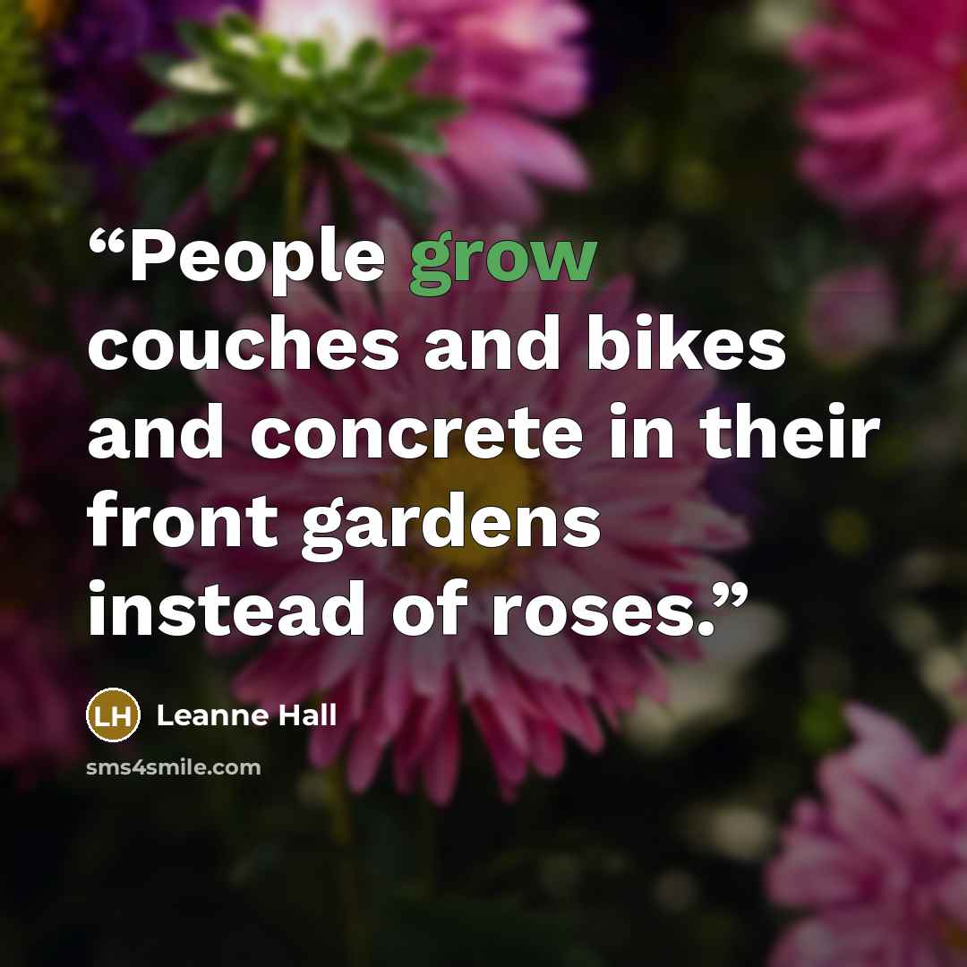 “People grow couches and bikes and concrete in their front gardens instead of roses.” quote by Leanne Hall