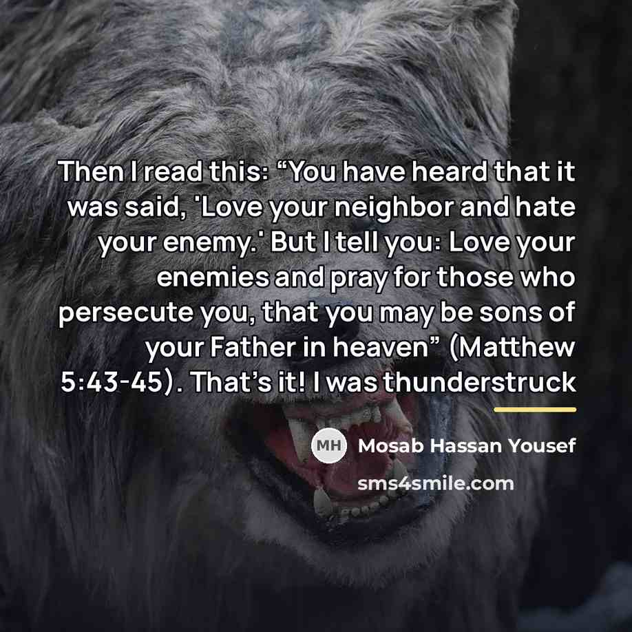 “Then I read this: “You have heard that it was…” quote by Mosab Hassan Yousef