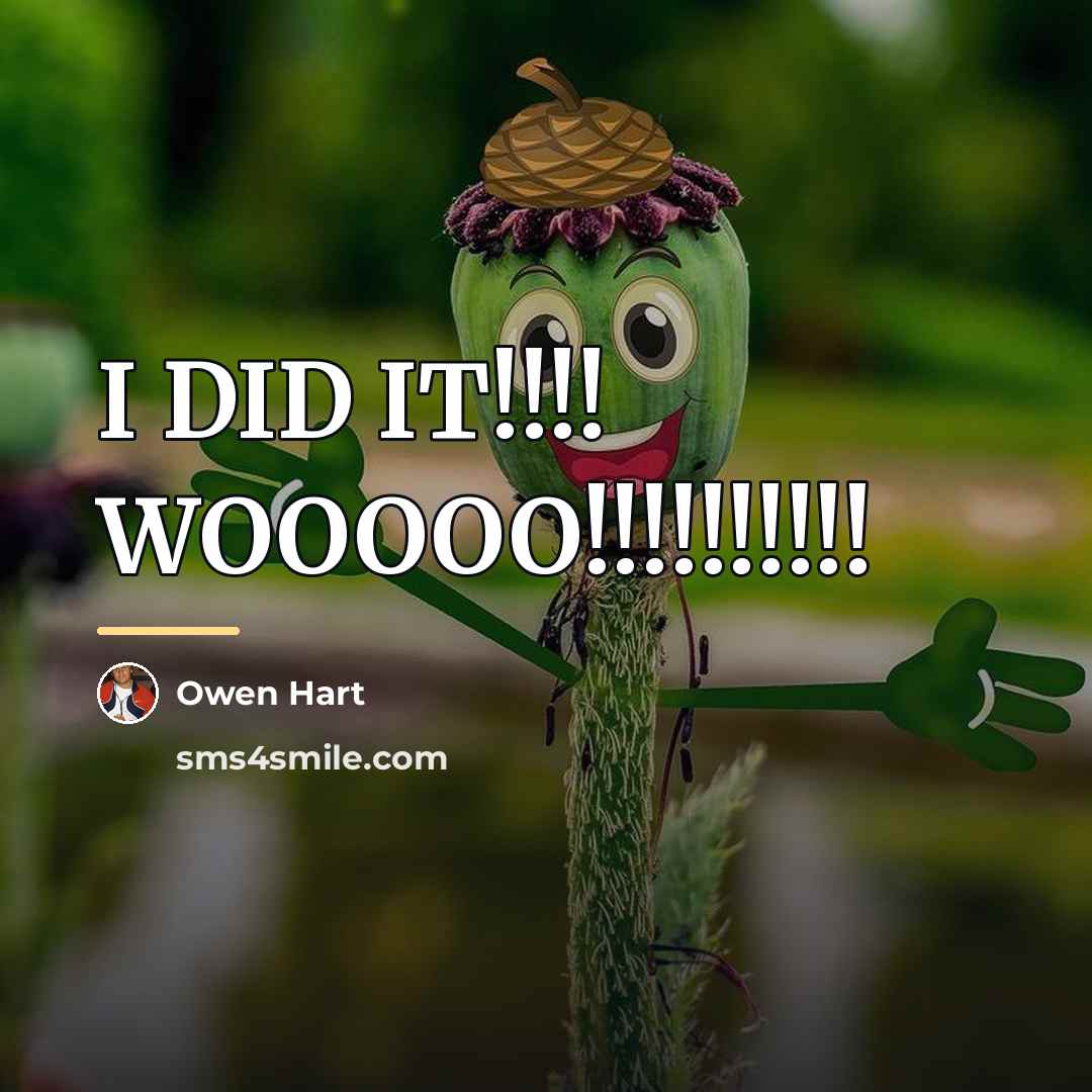 “I DID IT!!!! WOOOOO!!!!!!!!!!…” quote by Owen Hart