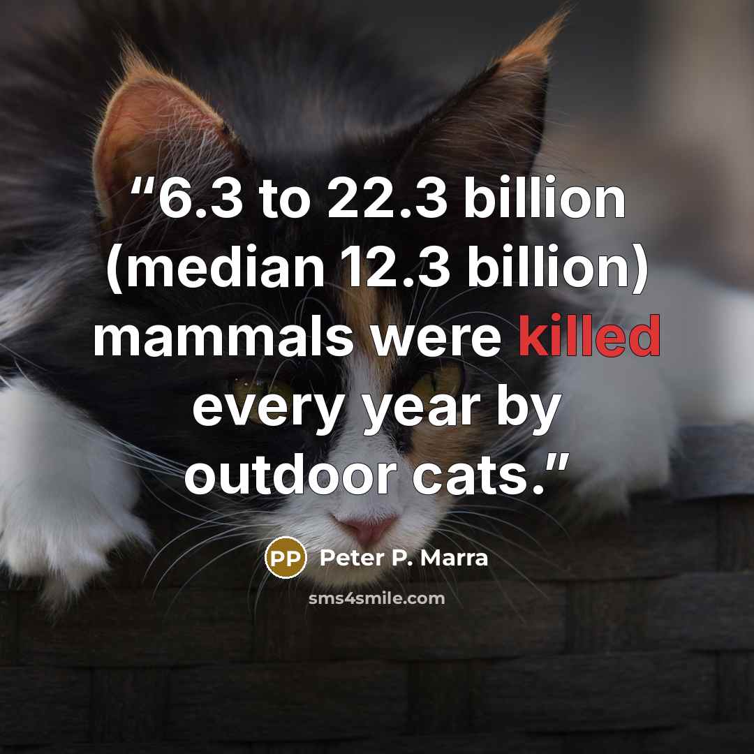 “6.3 to 22.3 billion (median 12.3 billion) mammals were killed every year by outdoor cats.” quote by Peter P. Marra