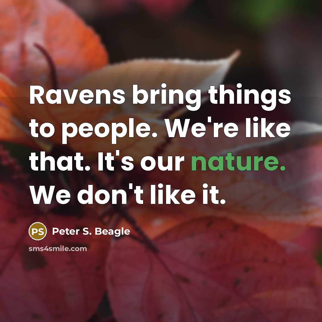 “Ravens bring things to people. We're like that. It's our…” quote by Peter S. Beagle