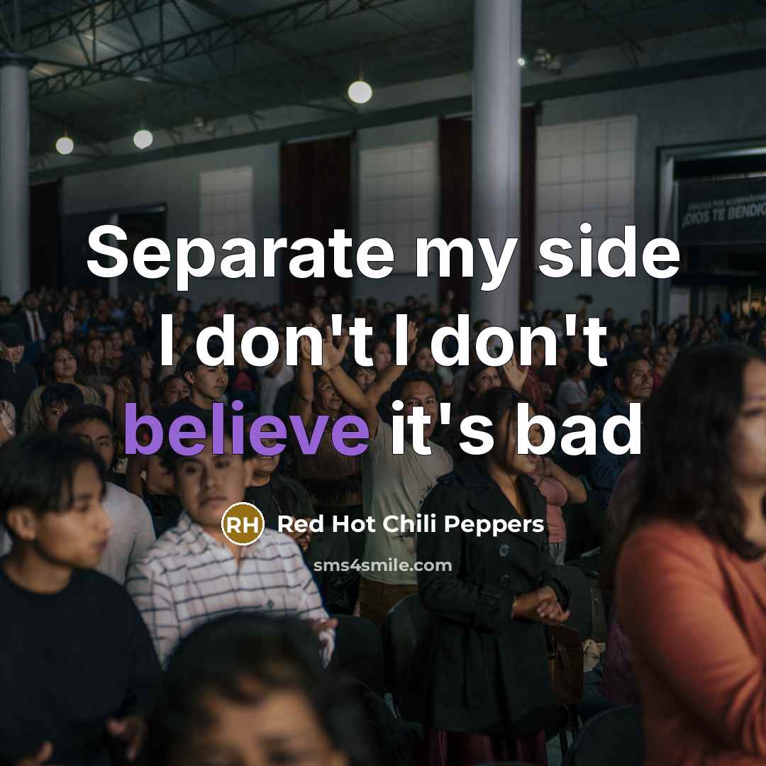 “Separate my side I don't I don't believe it's bad” quote by Red Hot Chili Peppers