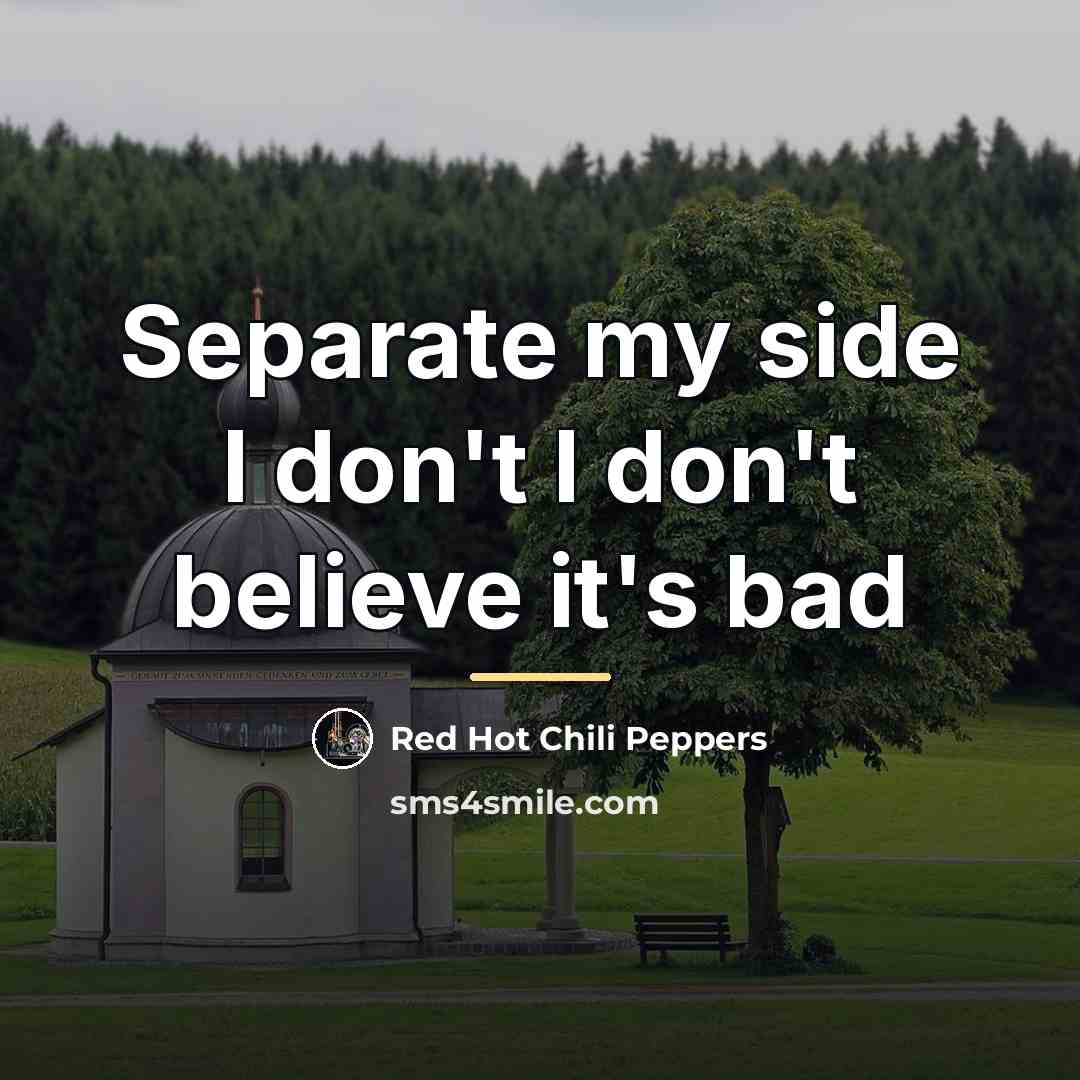 “Separate my side I don't I don't believe it's bad…” quote by Red Hot Chili Peppers