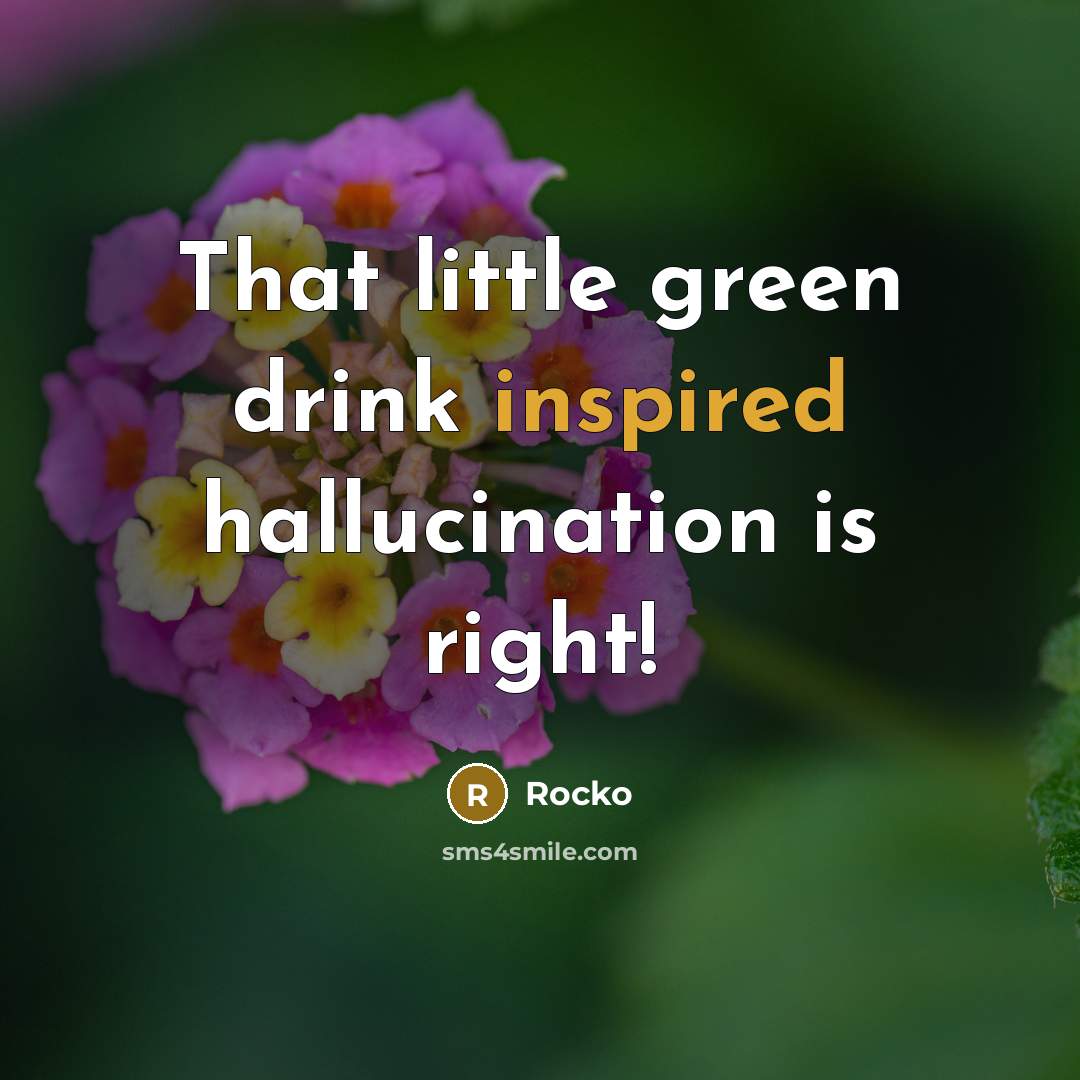“That little green drink inspired hallucination is right!…” quote by Rocko