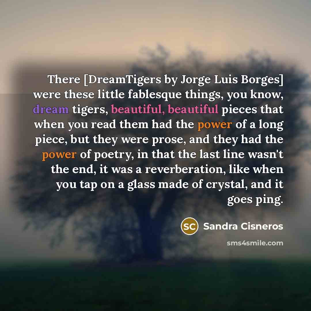 “There [DreamTigers by Jorge Luis Borges] were these little fablesque…” quote by Sandra Cisneros