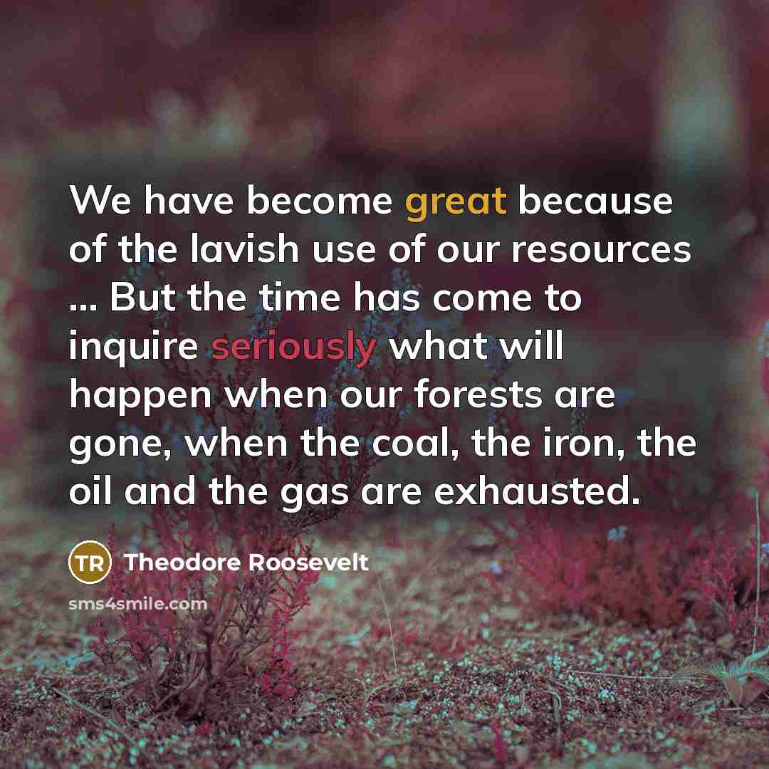 “We have become great because of the lavish use of our resources ... But the time has come to inquire seriously what will happen when our forests are gone, when the coal, the iron, the oil and the gas are exhausted.” quote by Theodore Roosevelt