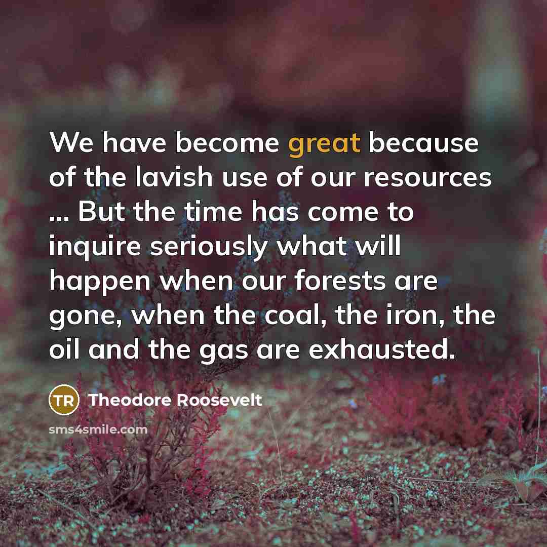 “We have become great because of the lavish use of…” quote by Theodore Roosevelt
