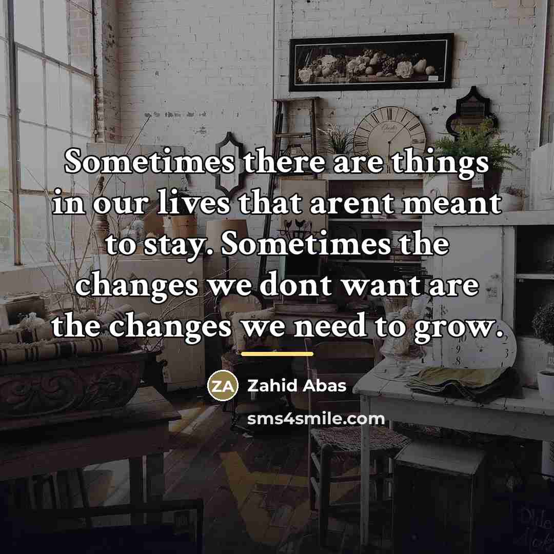 “Sometimes there are things in our lives that arent meant…” quote by Zahid Abas