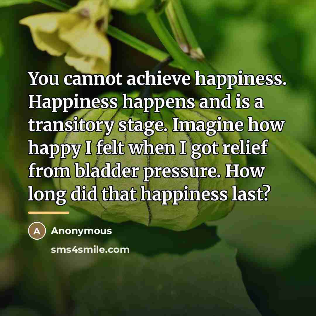 “You cannot achieve happiness. Happiness happens and is a transitory…” quote by Anonymous