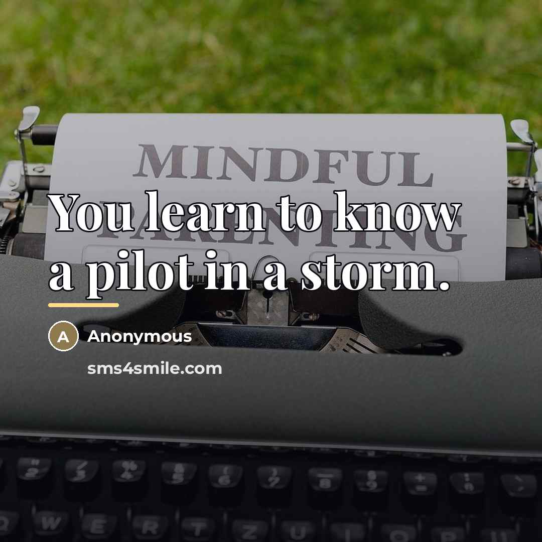 “You learn to know a pilot in a storm.…” quote by Anonymous