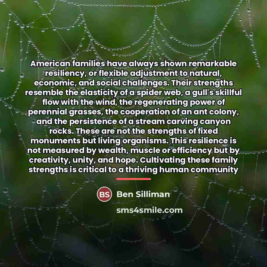 “American families have always shown remarkable resiliency, or flexible adjustment…” quote by Ben Silliman
