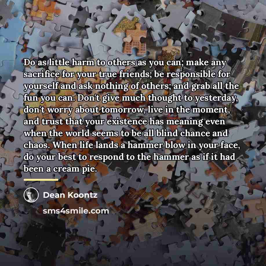 “Do as little harm to others as you can; make…” quote by Dean Koontz