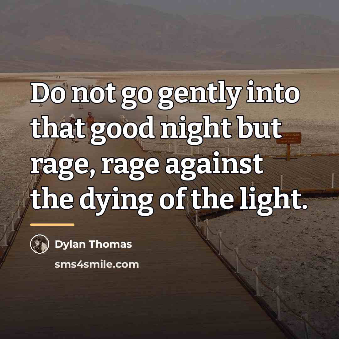 “Do not go gently into that good night but rage,…” quote by Dylan Thomas