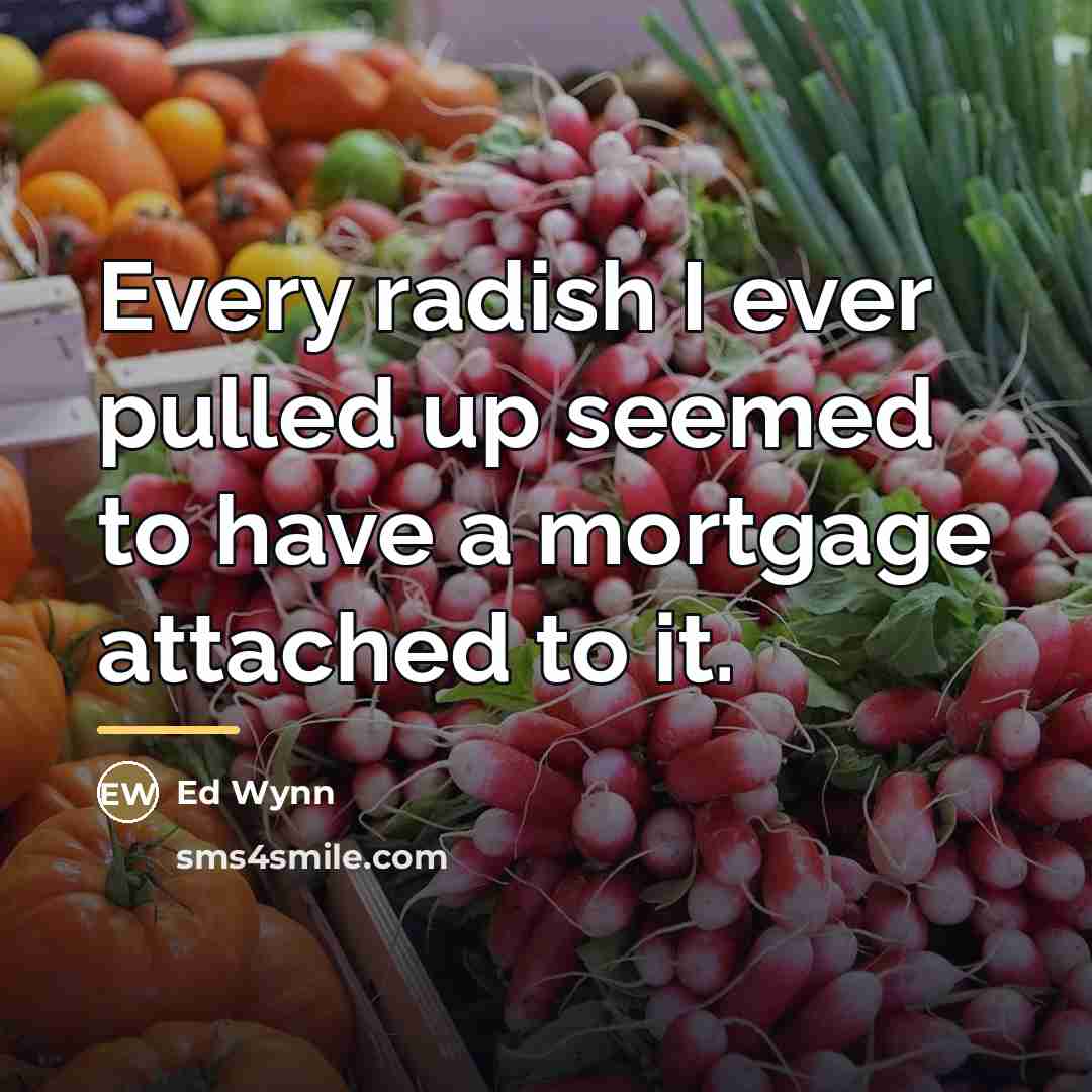 “Every radish I ever pulled up seemed to have a…” quote by Ed Wynn
