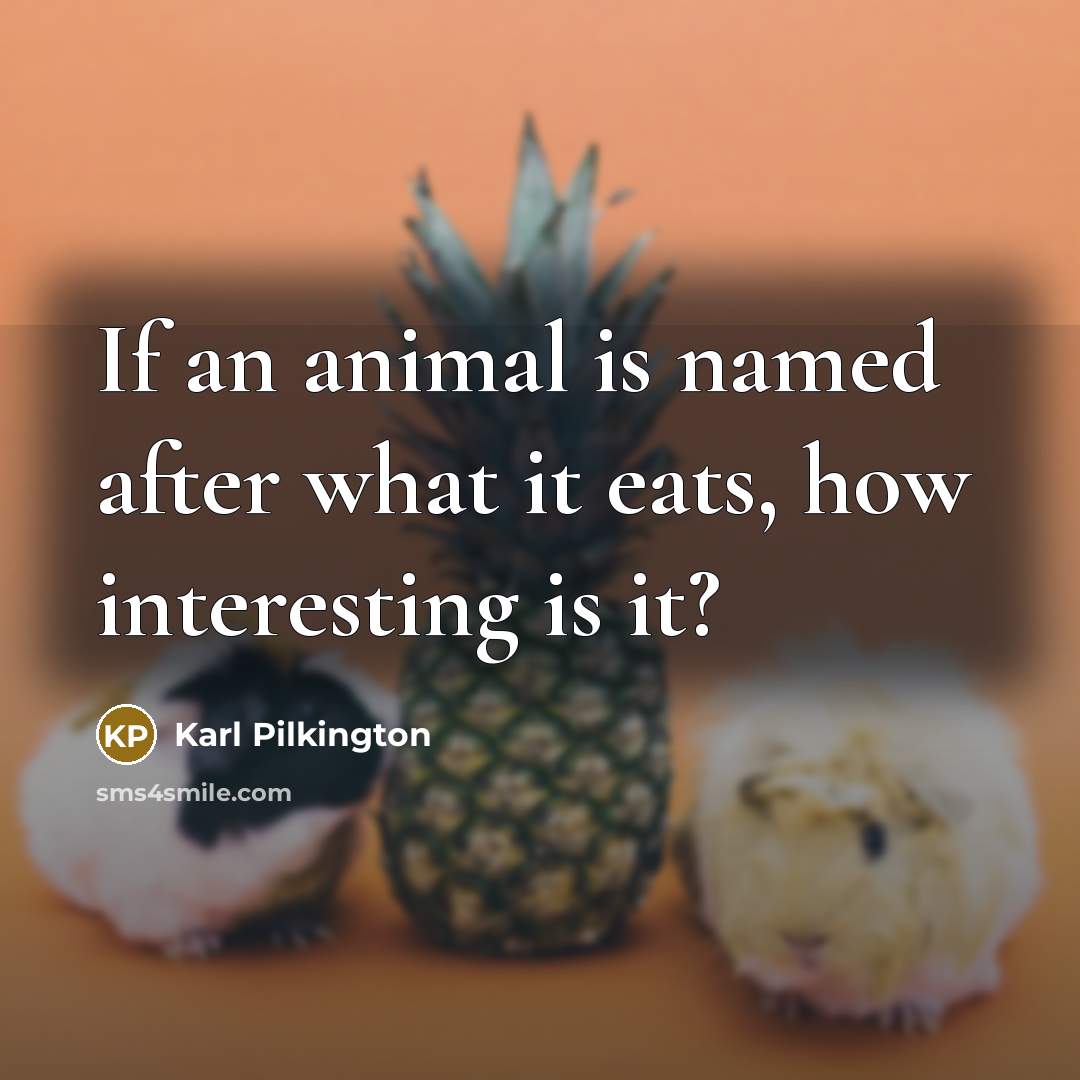 “If an animal is named after what it eats, how…” quote by Karl Pilkington