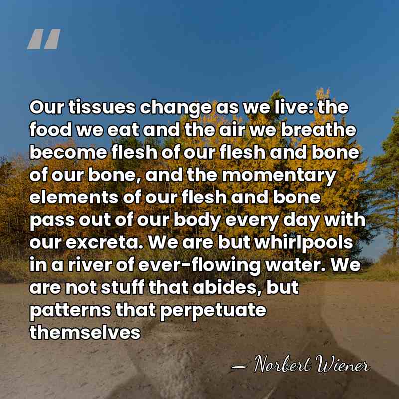 Our tissues change as we live: the food we eat and the&hellip; - Norbert Wiener