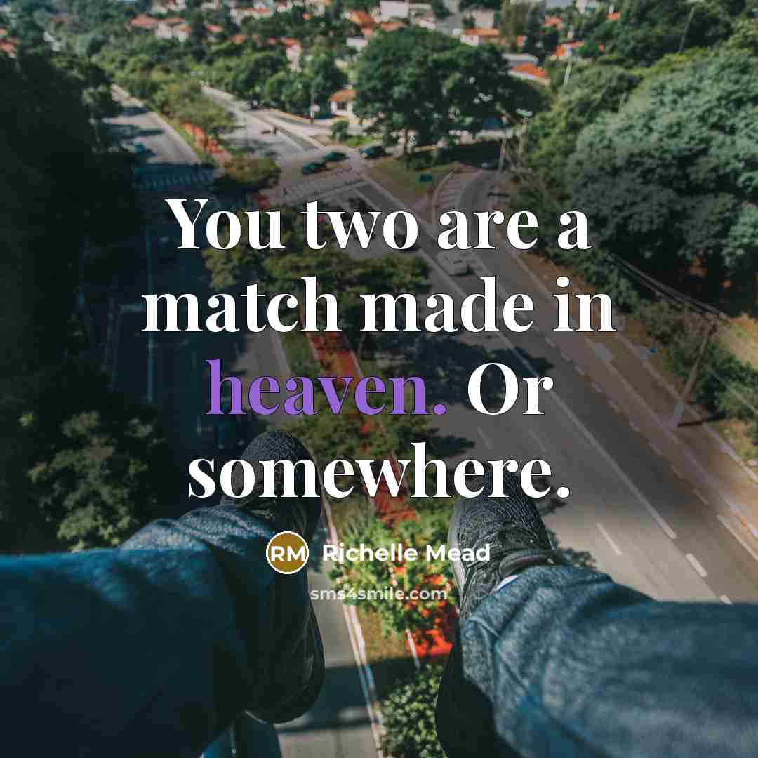 “You two are a match made in heaven. Or somewhere.…” quote by Richelle Mead