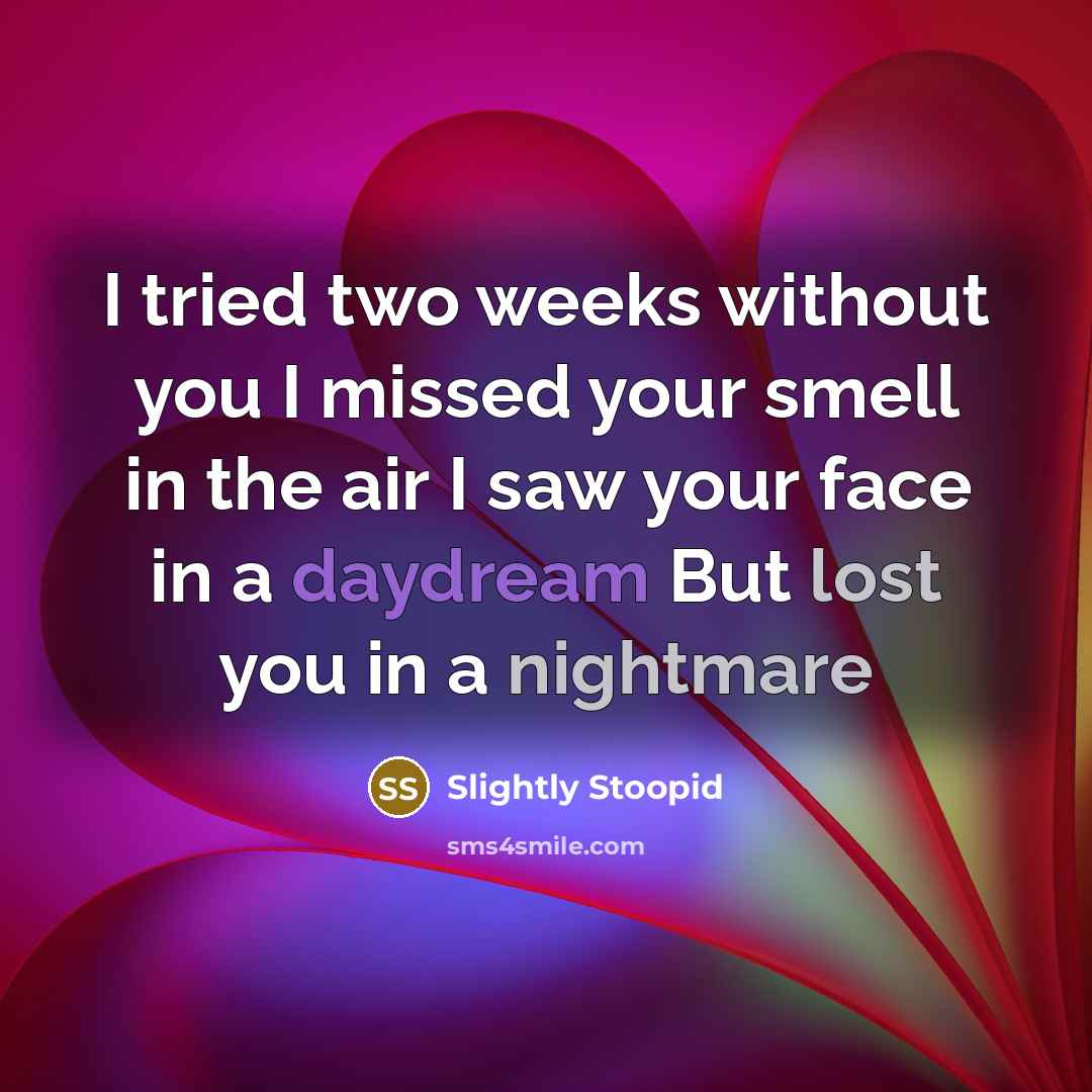 “I tried two weeks without you I missed your smell in the air I saw your face in a daydream But lost you in a nightmare” quote by Slightly Stoopid