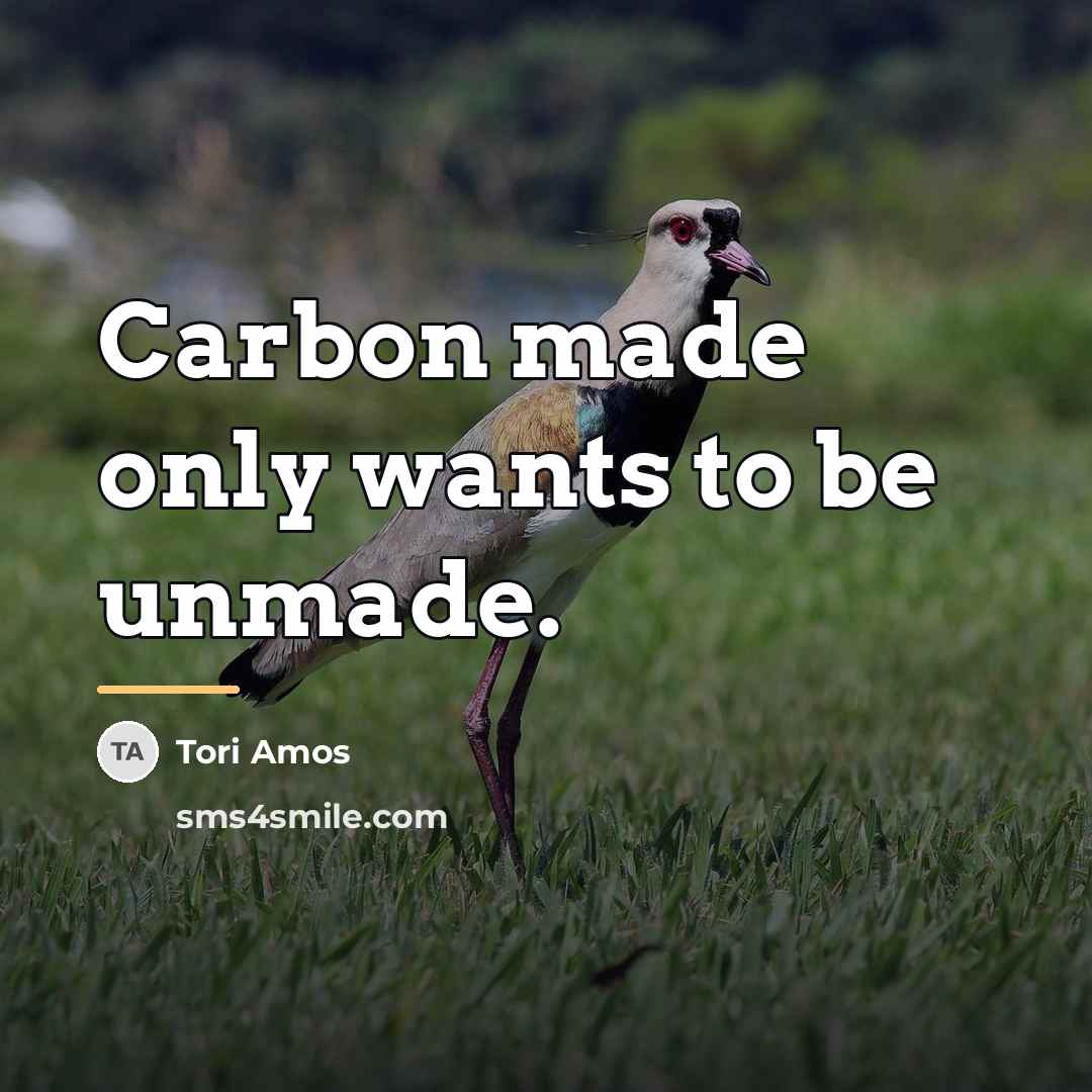 “Carbon made only wants to be unmade.…” quote by Tori Amos