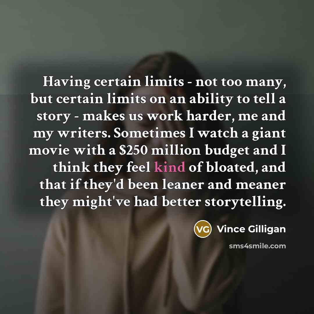 “Having certain limits - not too many, but certain limits…” quote by Vince Gilligan