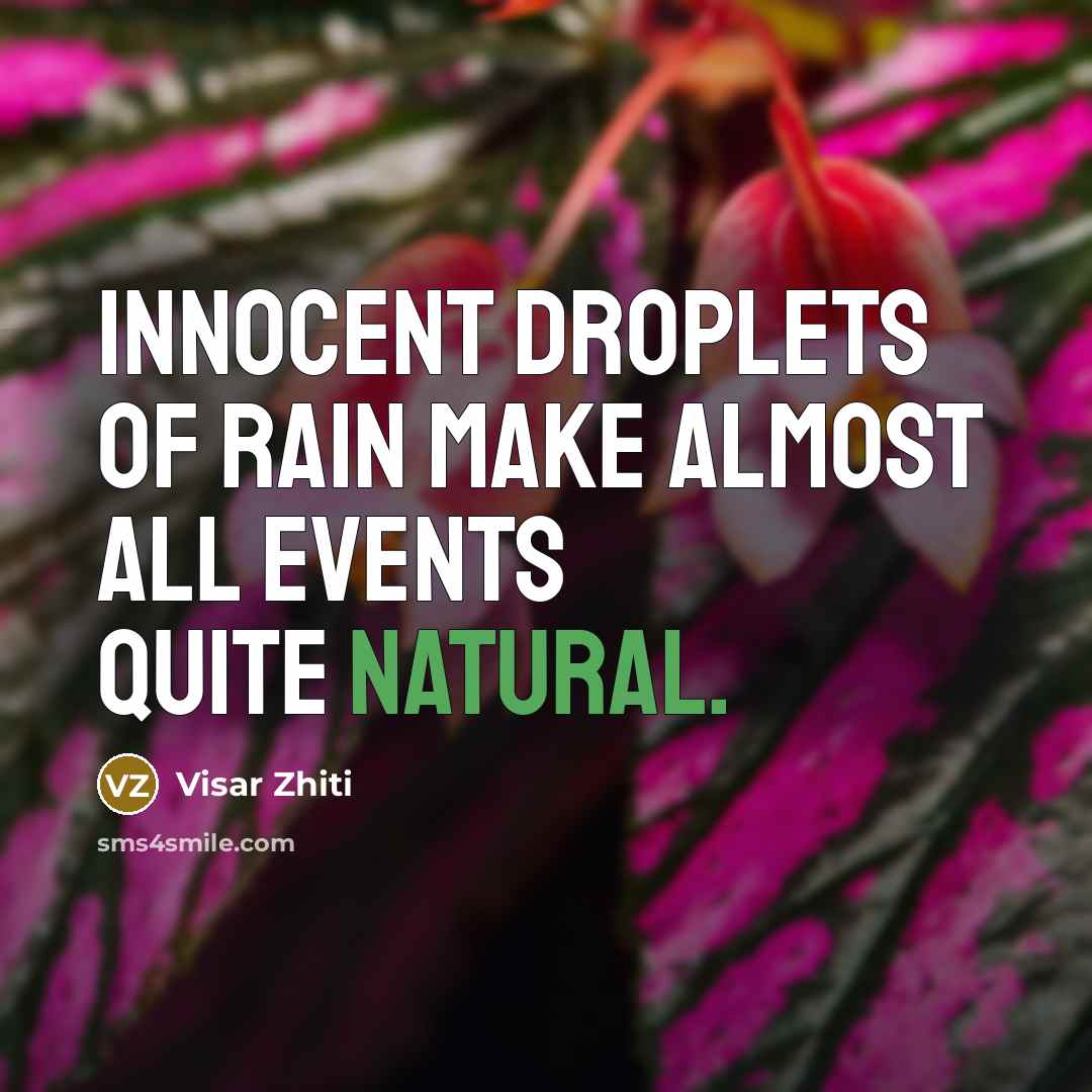 “Innocent droplets of rain make almost all events quite natural.…” quote by Visar Zhiti