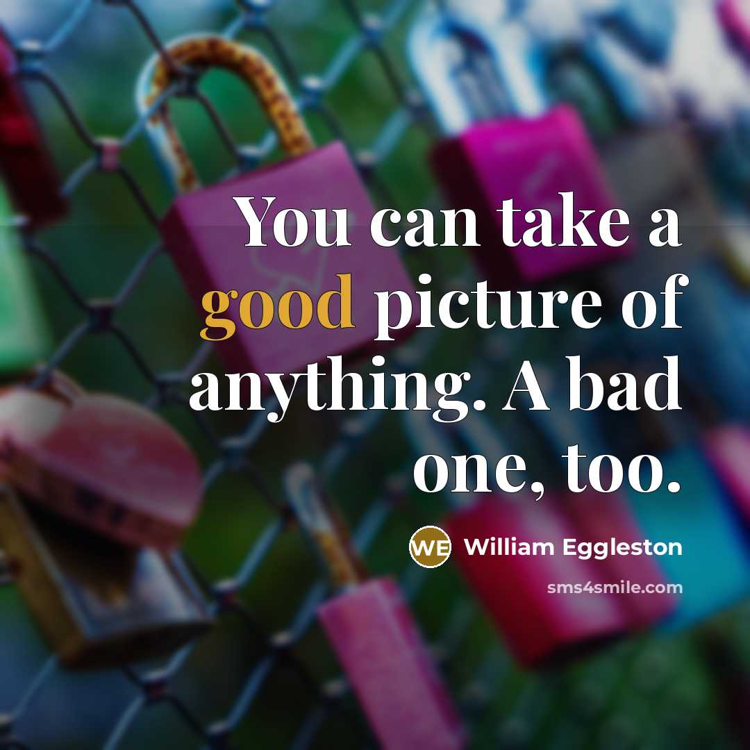 “You can take a good picture of anything. A bad…” quote by William Eggleston
