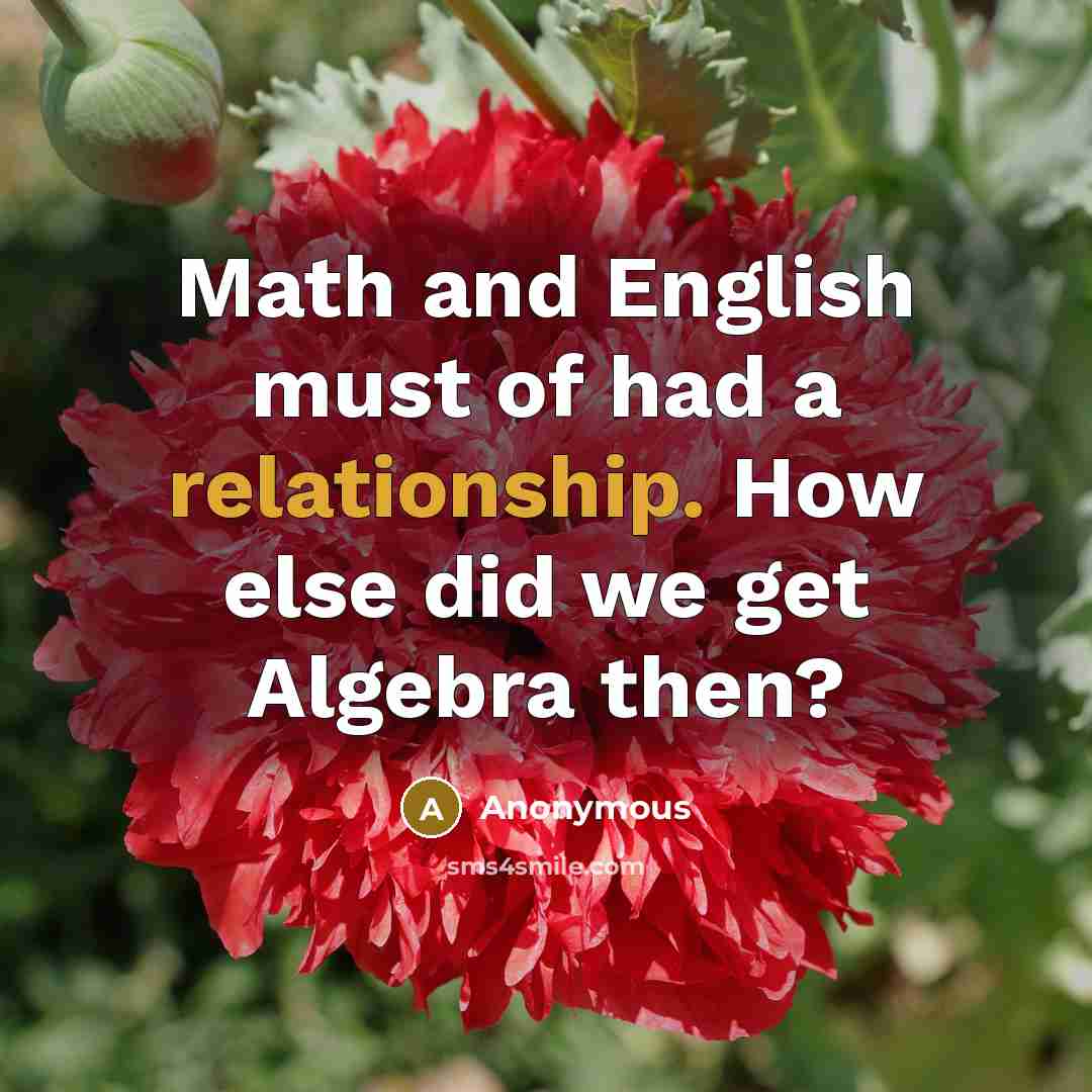 “Math and English must of had a relationship. How else did we get Algebra then?” quote by Anonymous