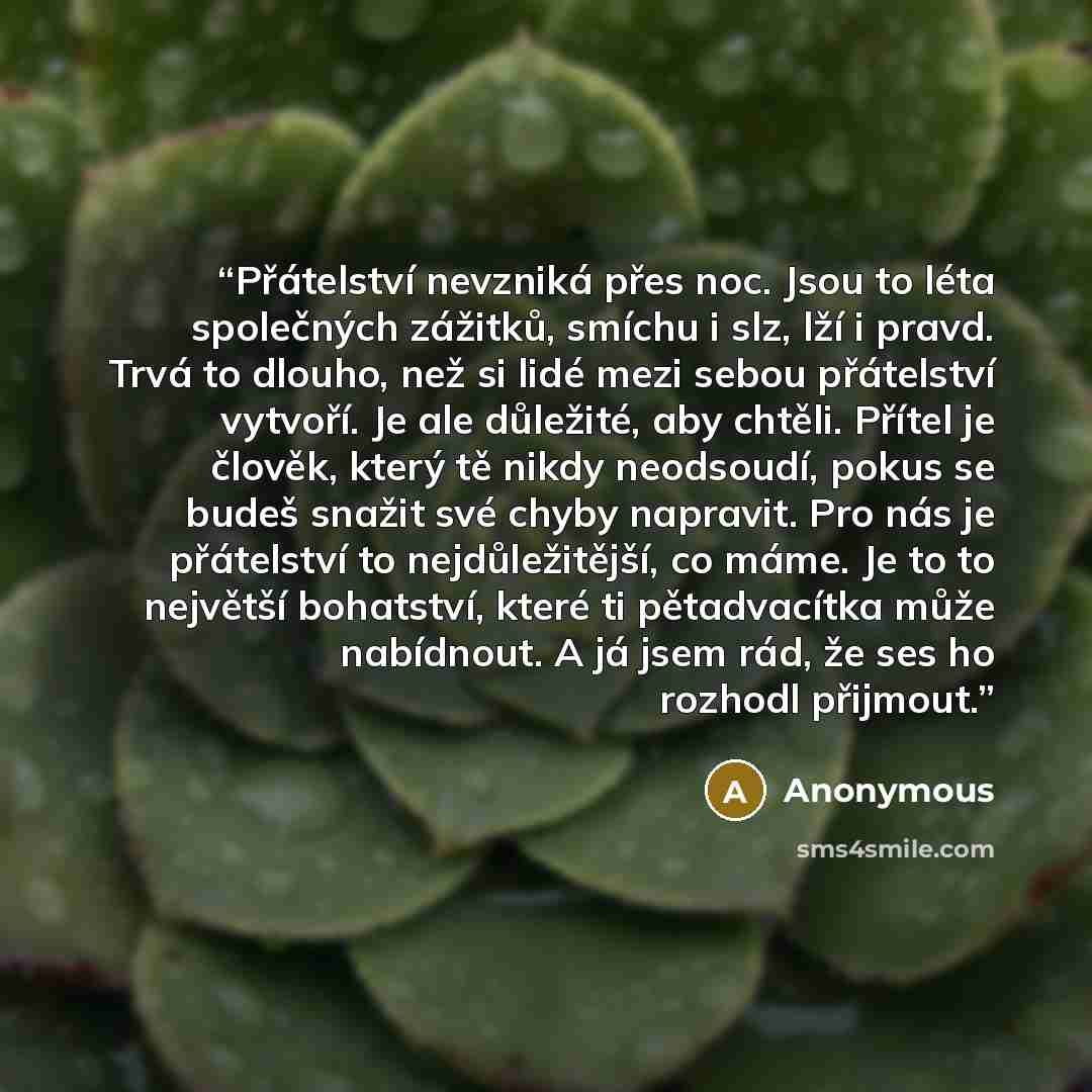 “Přátelství nevzniká přes noc. Jsou to léta společných zážitků, smíchu i slz, lží i pravd. Trvá to dlouho, než si lidé mezi sebou přátelství vytvoří. Je ale důležité, aby chtěli. Přítel je člověk, který tě nikdy neodsoudí, pokus se budeš snažit své chyby napravit. Pro nás je přátelství to…” quote by Anonymous