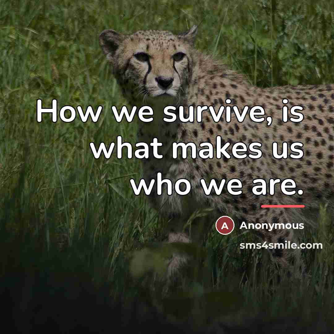 “How we survive, is what makes us who we are.…” quote by Anonymous