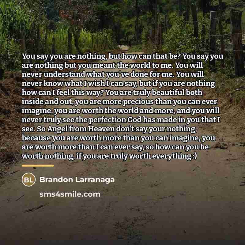 “You say you are nothing, but how can that be?…” quote by Brandon Larranaga