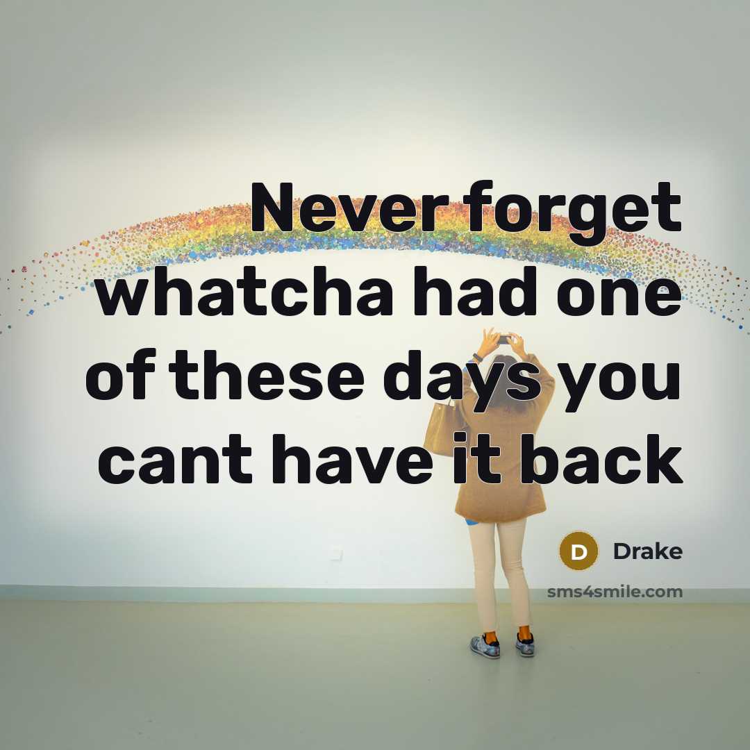 “Never forget whatcha had one of these days you cant have it back” quote by Drake