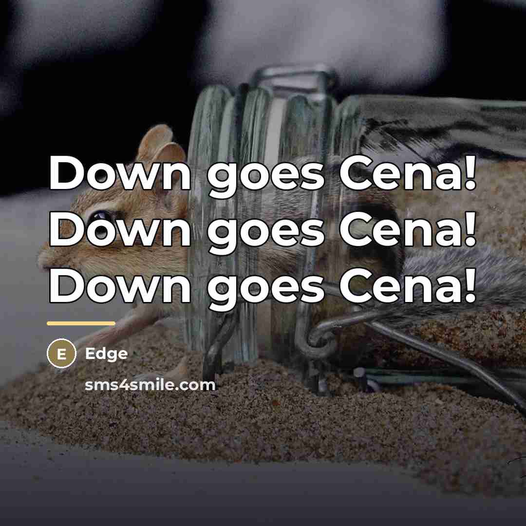 “Down goes Cena! Down goes Cena! Down goes Cena!…” quote by Edge