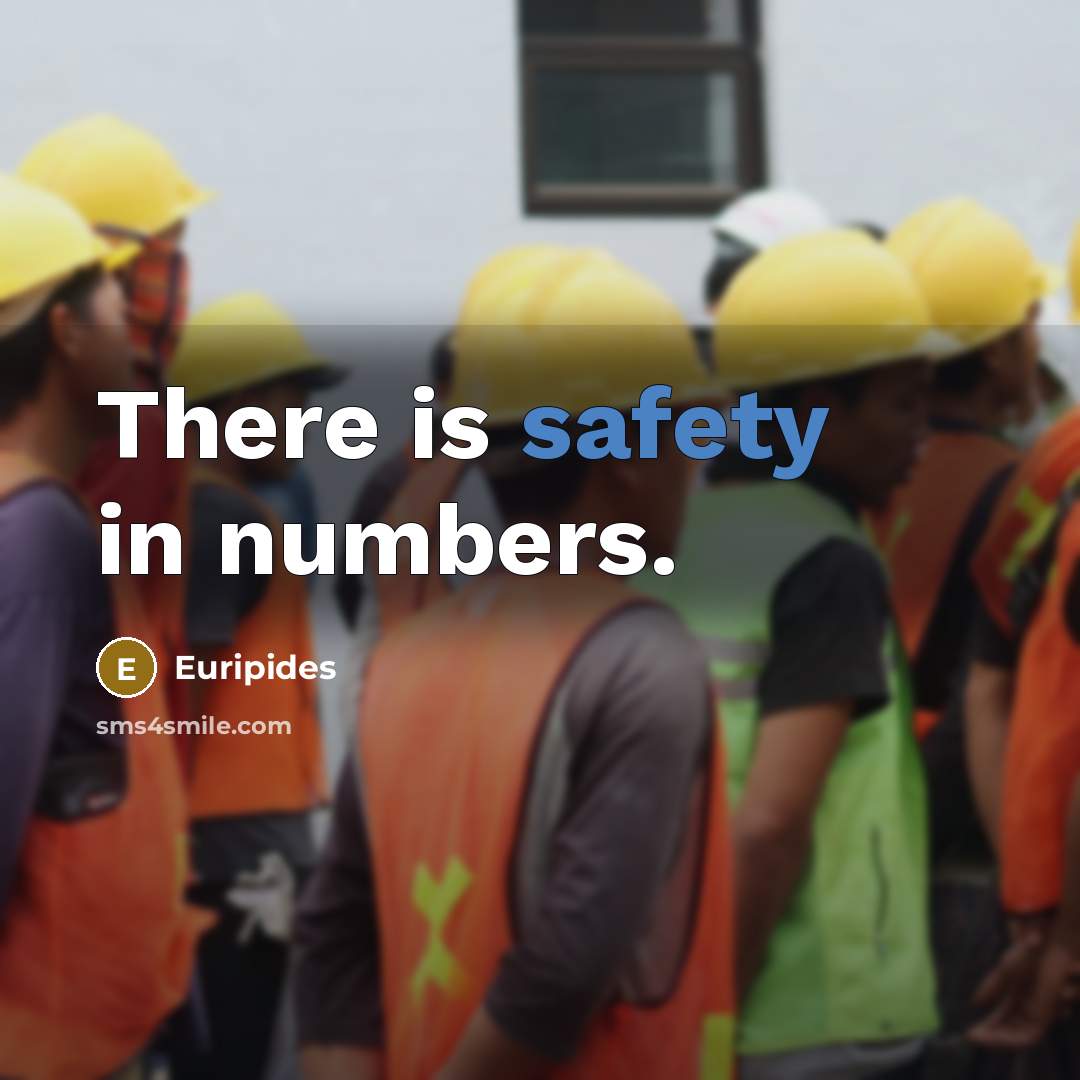 “There is safety in numbers.…” quote by Euripides