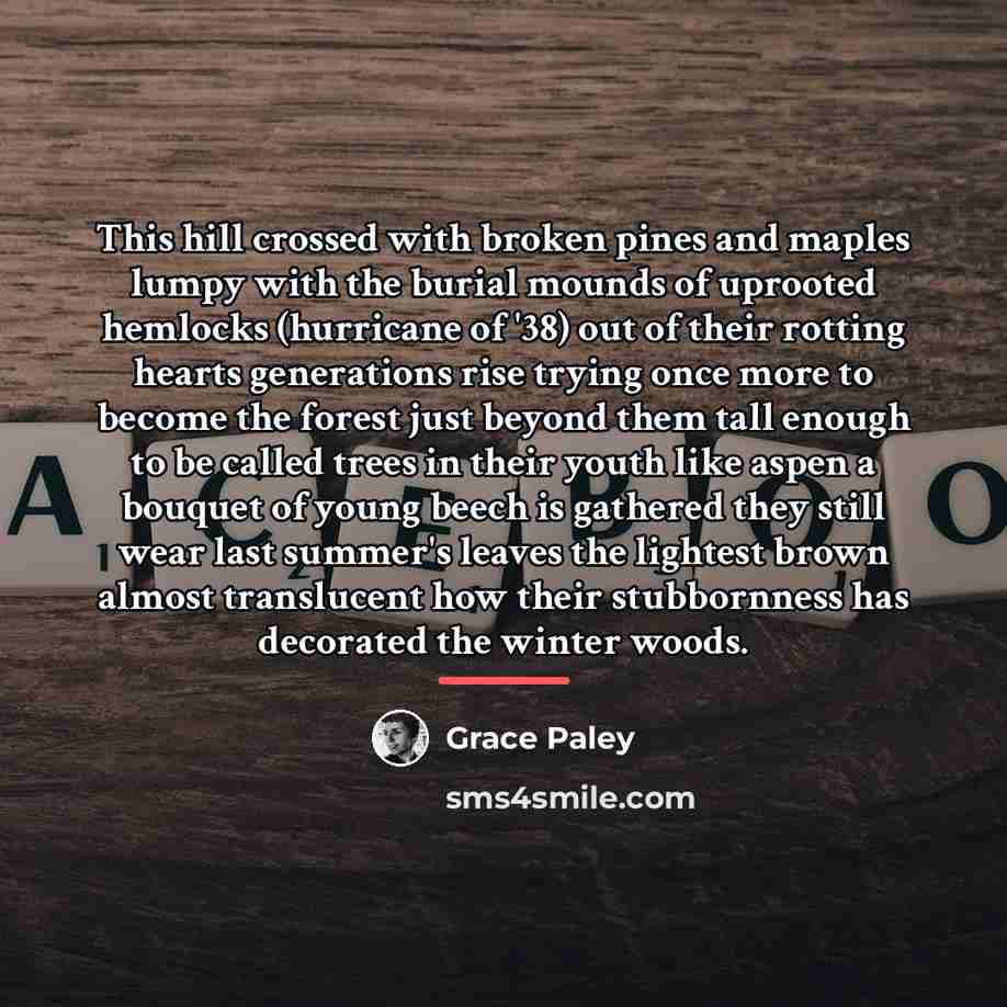 “This hill crossed with broken pines and maples lumpy with…” quote by Grace Paley