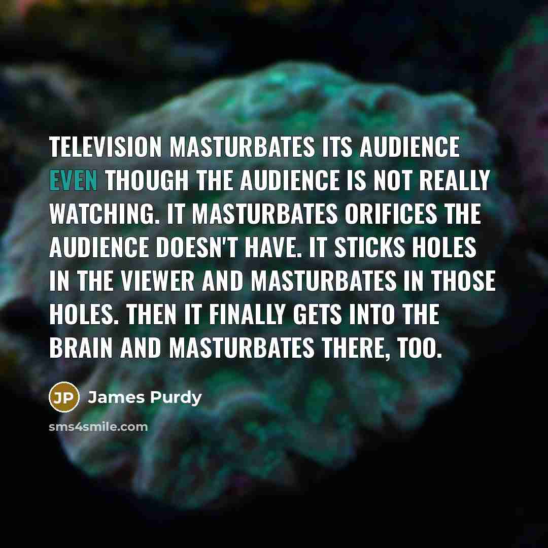 “Television masturbates its audience even though the audience is not…” quote by James Purdy