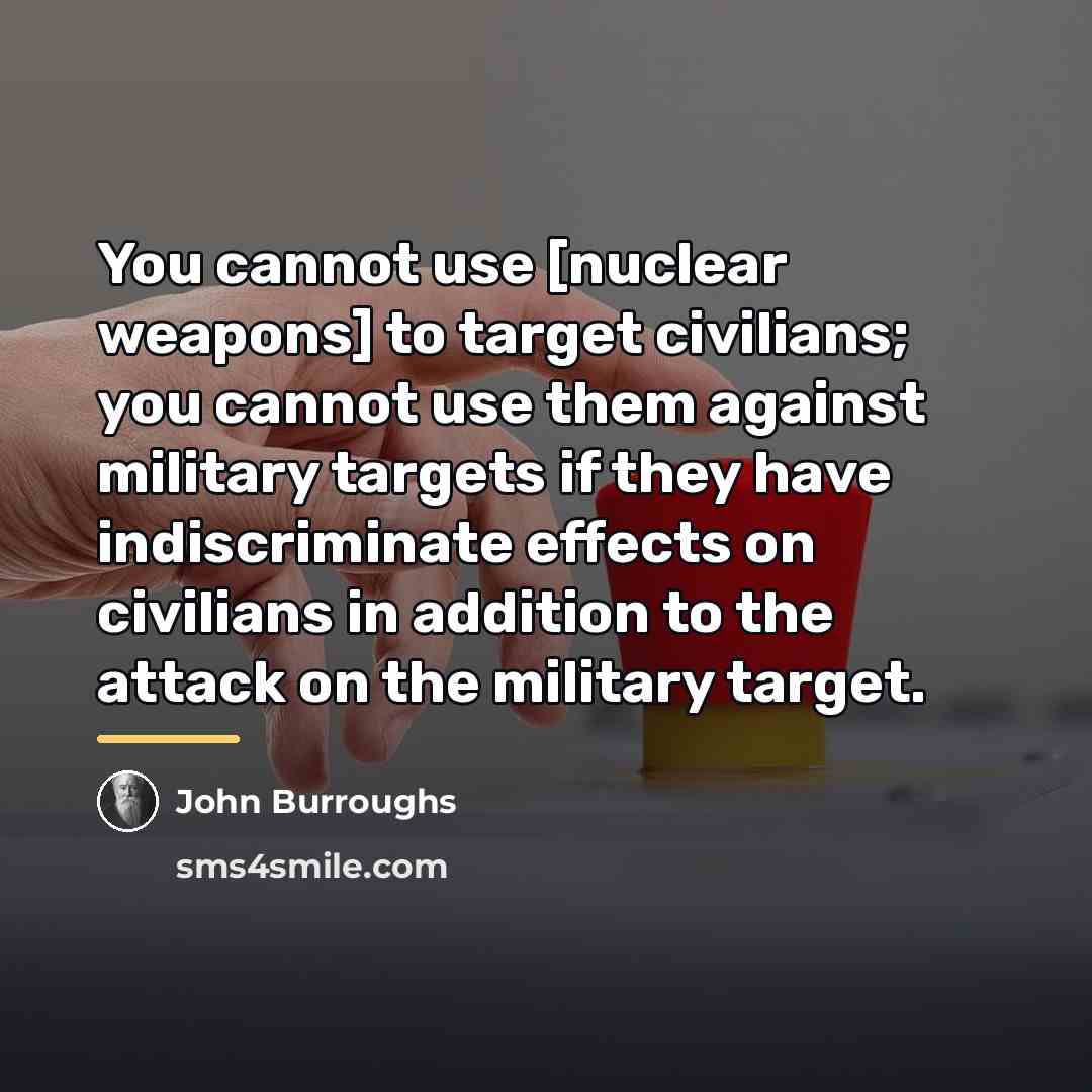 “You cannot use [nuclear weapons] to target civilians; you cannot…” quote by John Burroughs