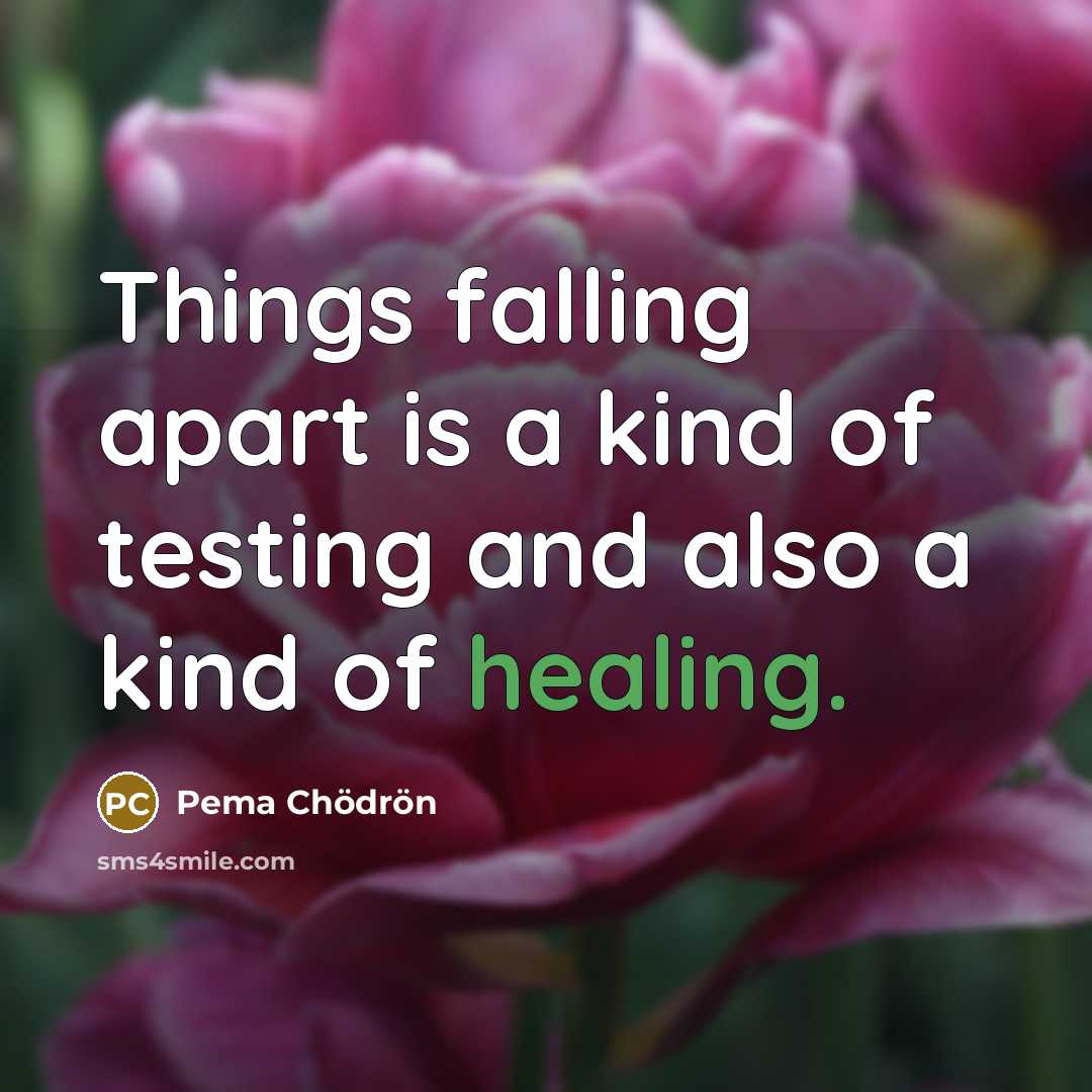 “Things falling apart is a kind of testing and also…” quote by Pema Chodron