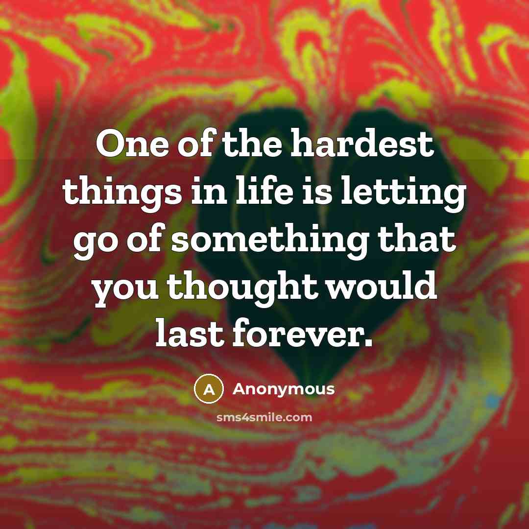 “One of the hardest things in life is letting go…” quote by Anonymous