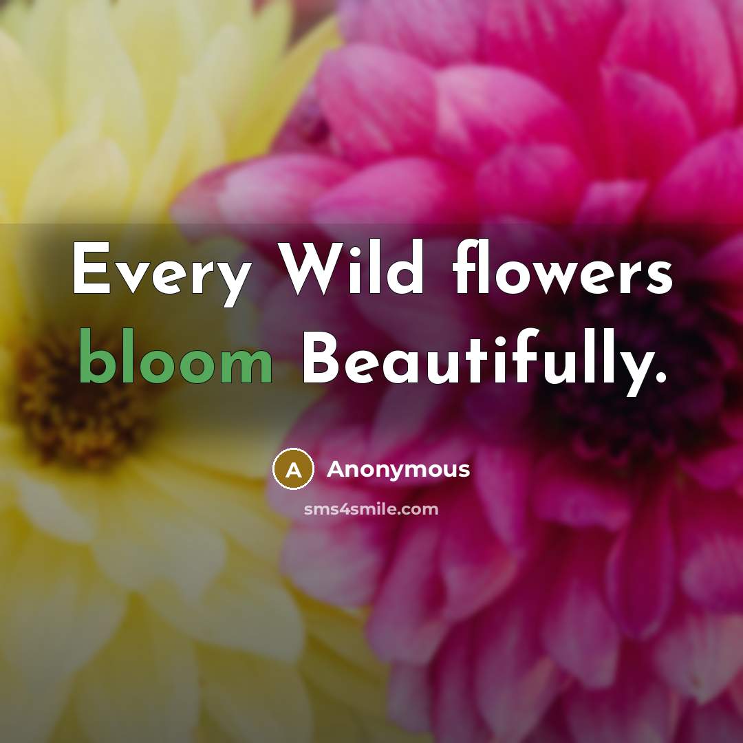 “Every Wild flowers bloom Beautifully.…” quote by Anonymous