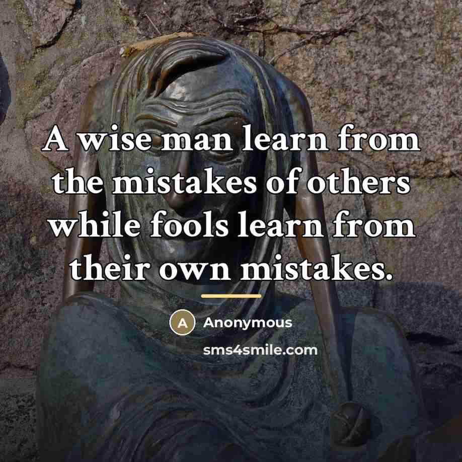 “A wise man learn from the mistakes of others while…” quote by Anonymous