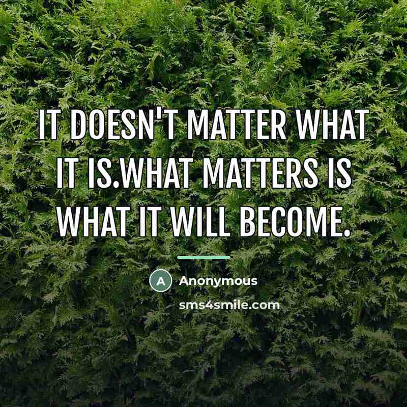 “It doesn't matter what it is.What matters is what it…” quote by Anonymous