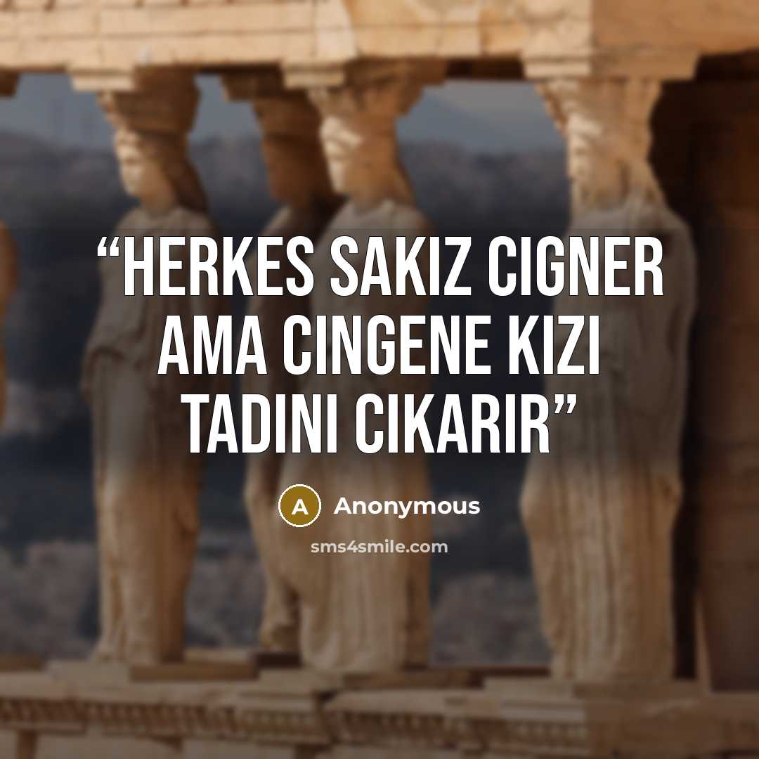 “Herkes sakiz cigner ama cingene kizi tadini cikarir” quote by Anonymous