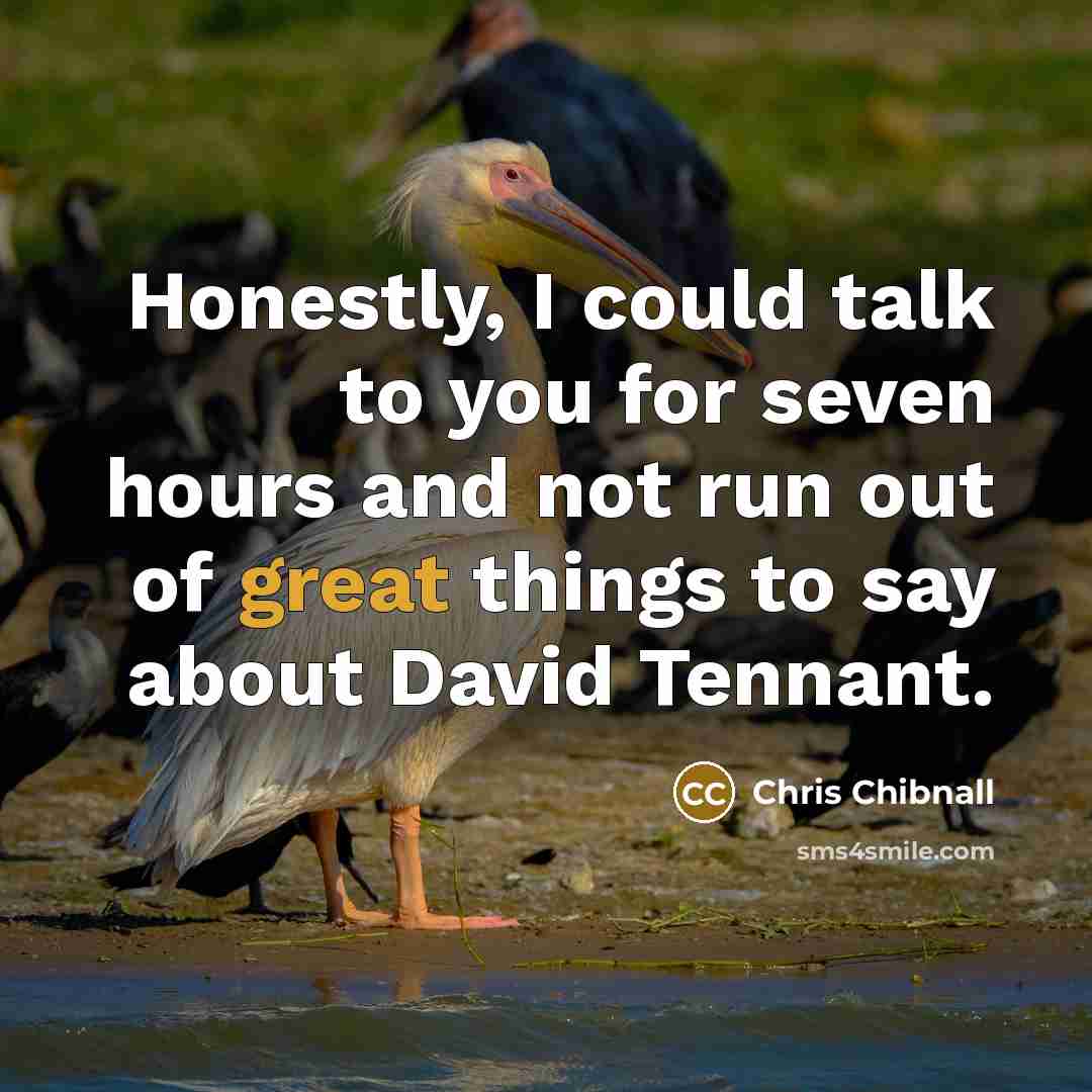 “Honestly, I could talk to you for seven hours and…” quote by Chris Chibnall