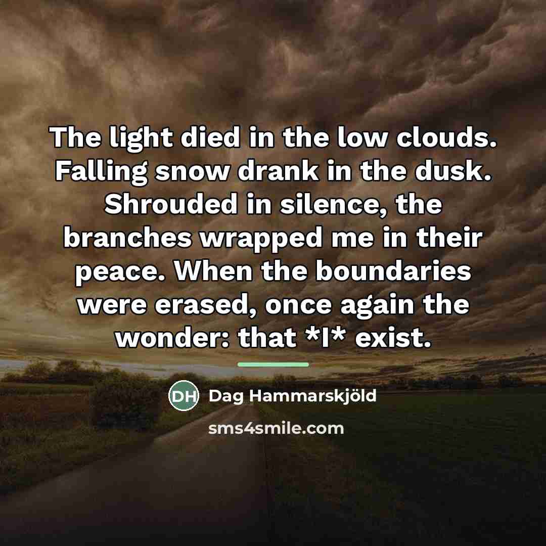 “The light died in the low clouds. Falling snow drank…” quote by Dag Hammarskjold