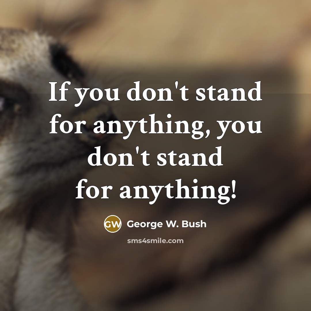 “If you don't stand for anything, you don't stand for…” quote by George W. Bush
