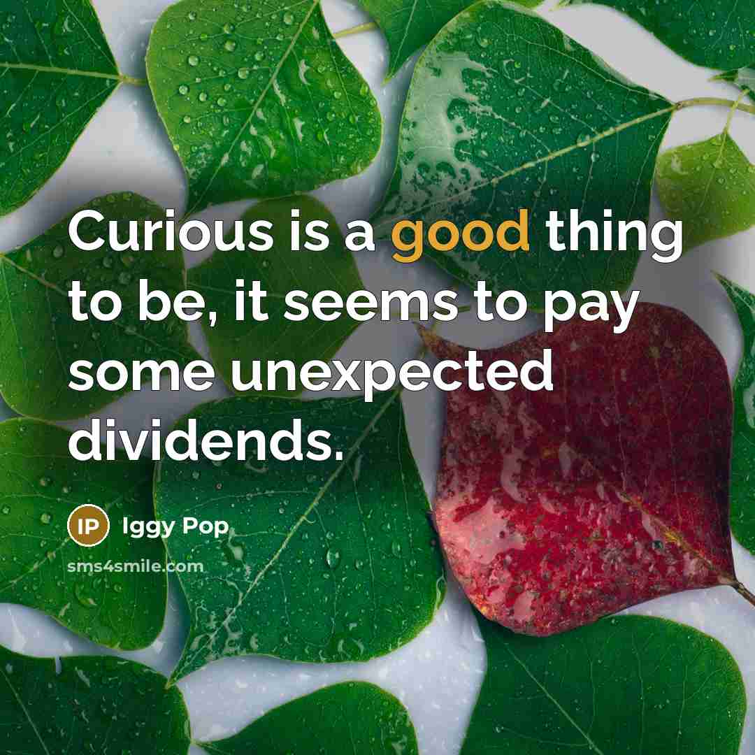 “Curious is a good thing to be, it seems to…” quote by Iggy Pop