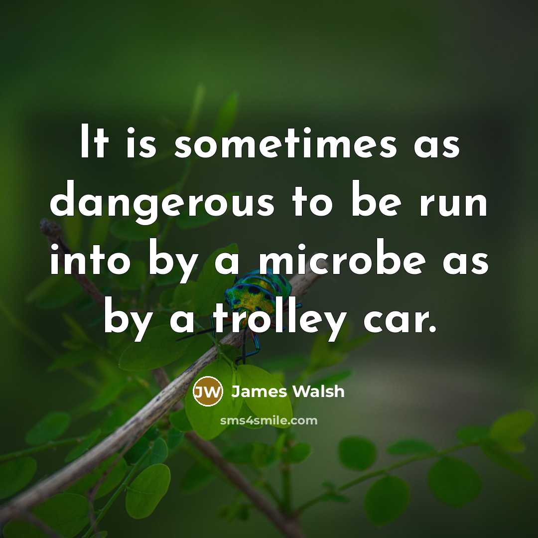 “It is sometimes as dangerous to be run into by…” quote by James Walsh