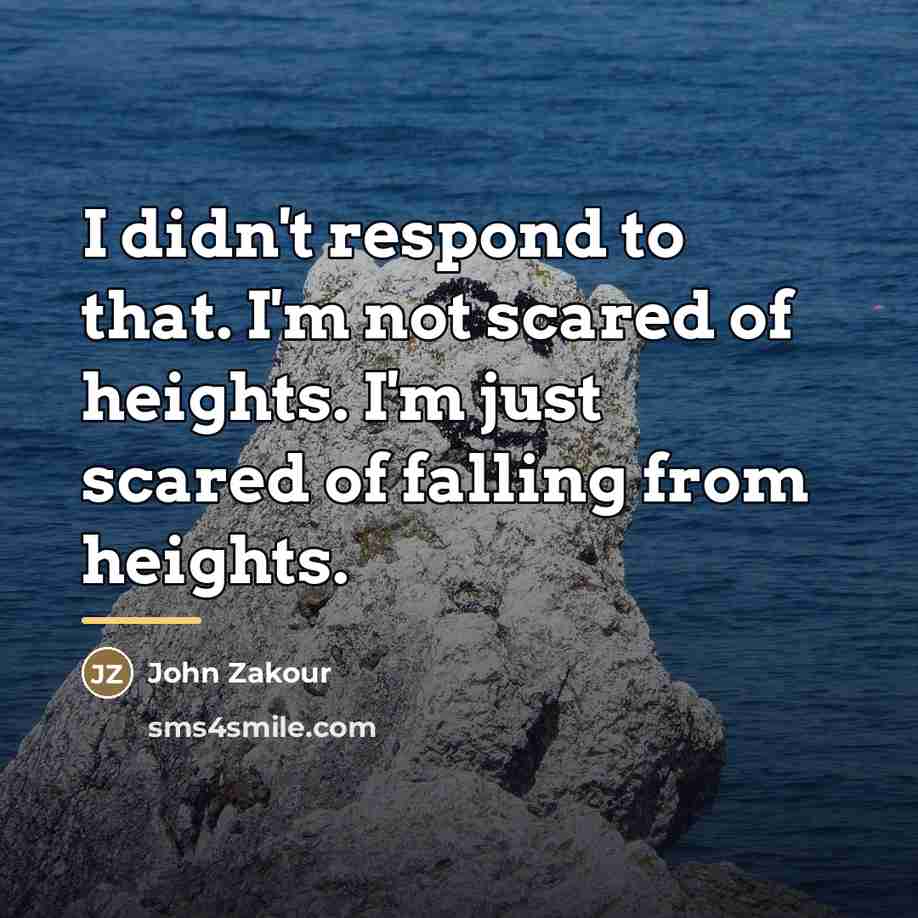“I didn't respond to that. I'm not scared of heights.…” quote by John Zakour