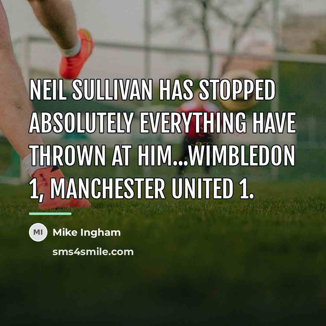 “Neil Sullivan has stopped absolutely everything have thrown at him...Wimbledon…” quote by Mike Ingham
